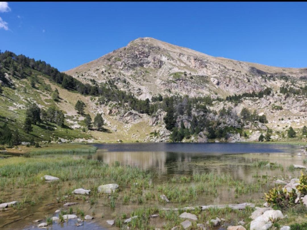 Apartment Rural -la Seu D'urgell-andorra Adrall