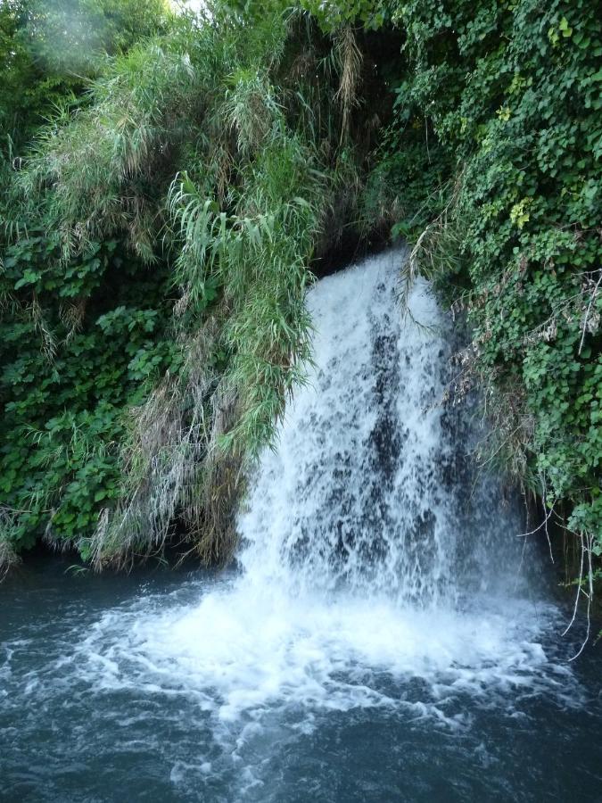 Anna, Embrujo De La Naturaleza * Anna