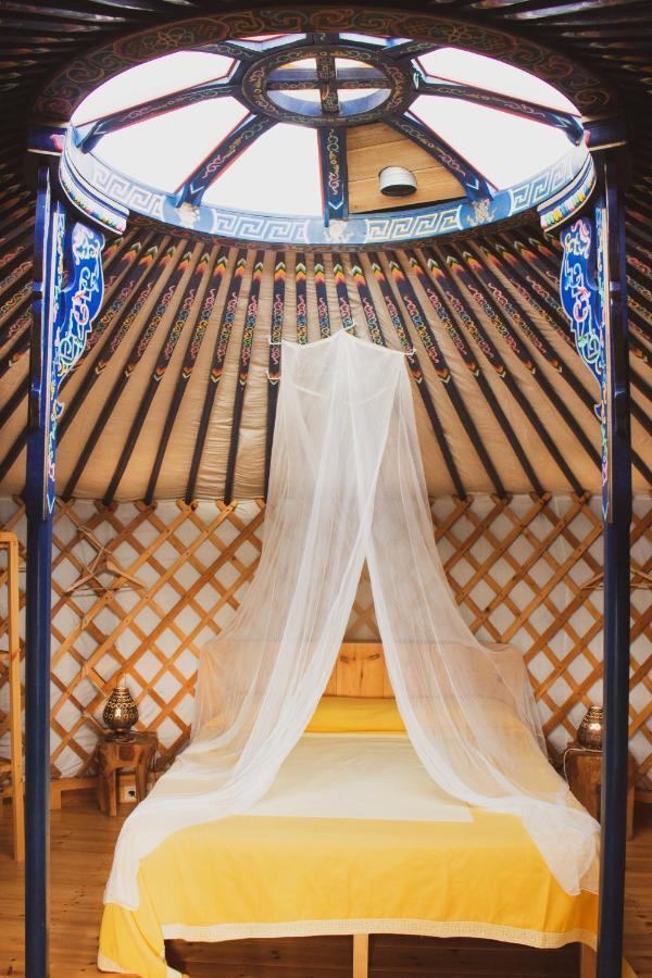 Luxury tent Vinero Ajuy