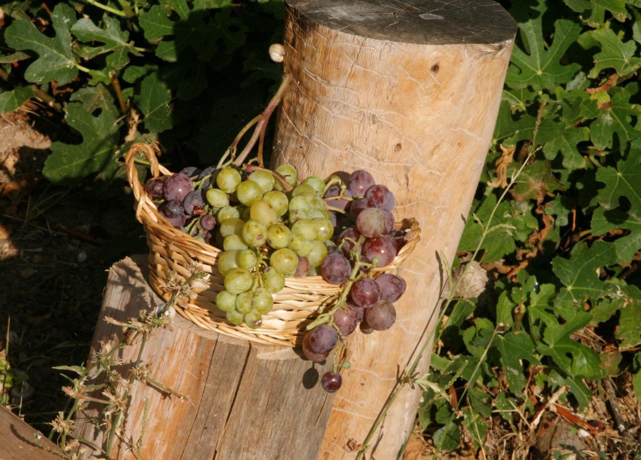 Hort De L'aubert Apartment *