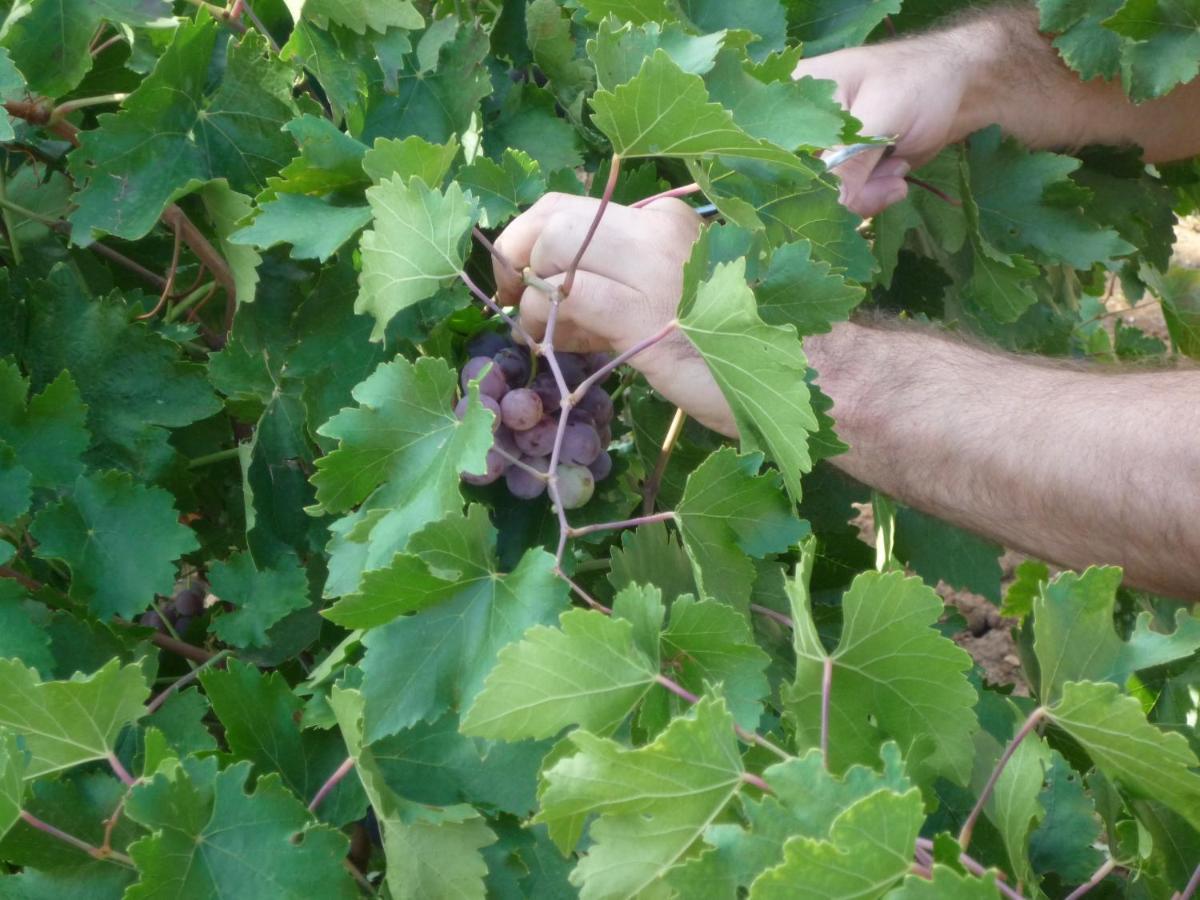 Hort De L'aubert Cretas
