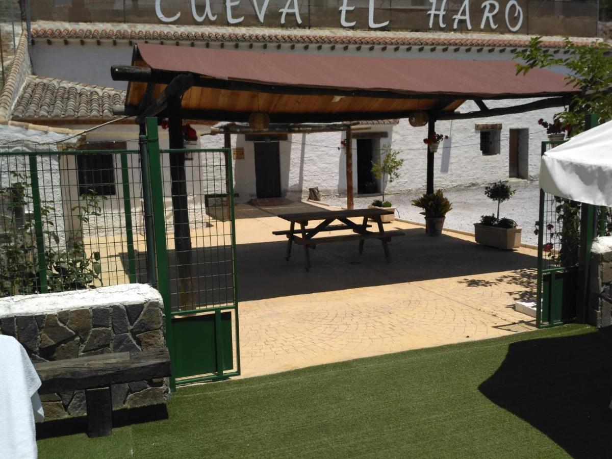 Cueva El Haro * Baza