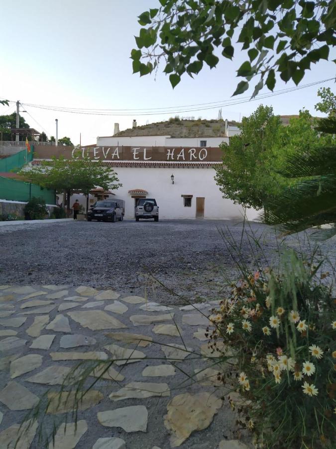 Cueva El Haro Casa rural *