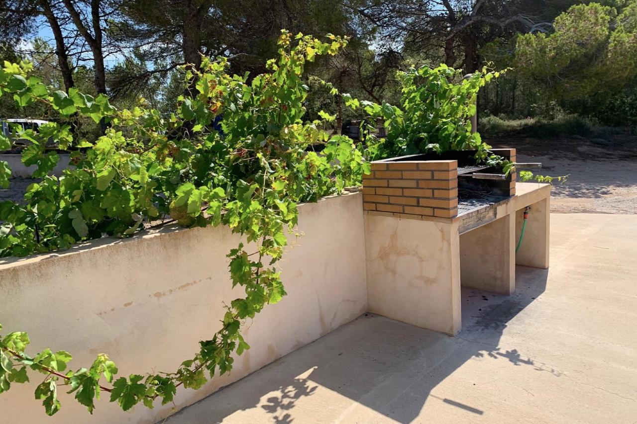 Aptos Rurales Pep De Sa Barda - Vinedos Y Tranquilidad Holiday home San Francisco Javier