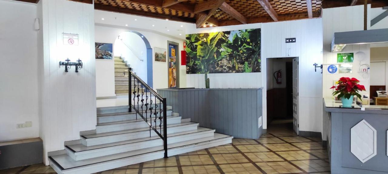 Primavera - Teneguia Puerto De La Cruz Apartamento Puerto de la Cruz (Tenerife)