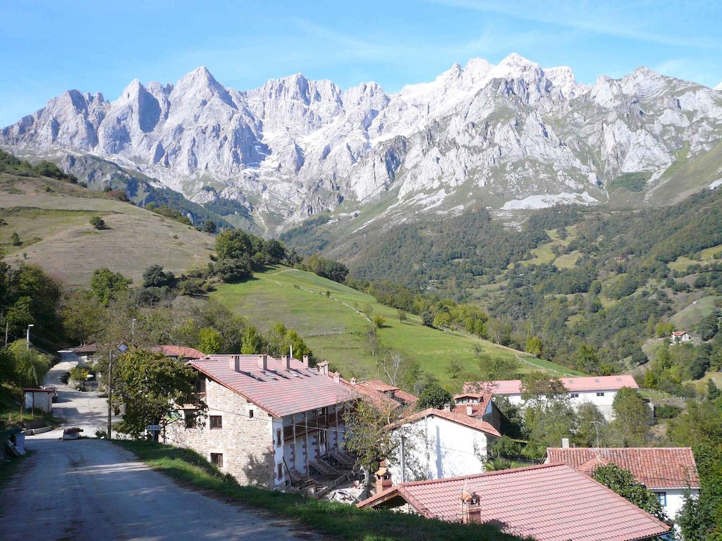 Rurales Picos De Redo *