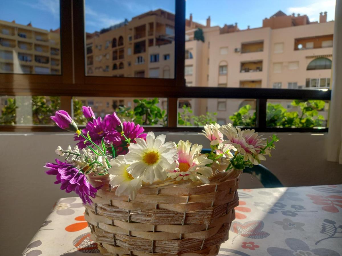 Apartamento Hibisco , Primera Línea De Playa *