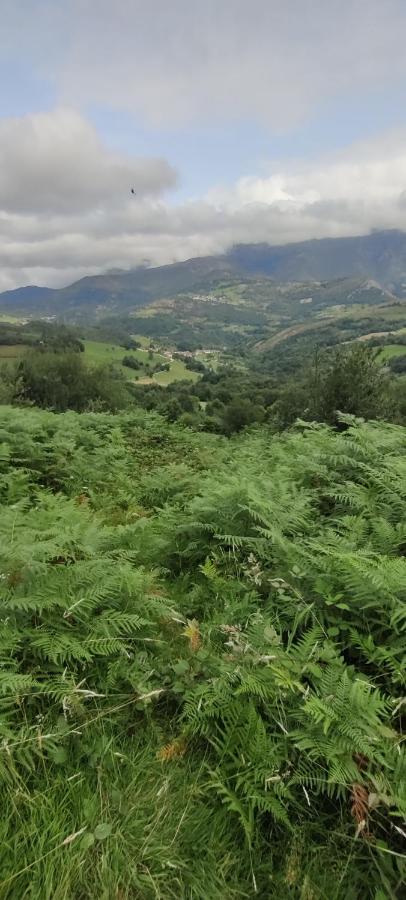 Сasa de vacaciones Arenas de Cabrales, Ángel Inguanzo