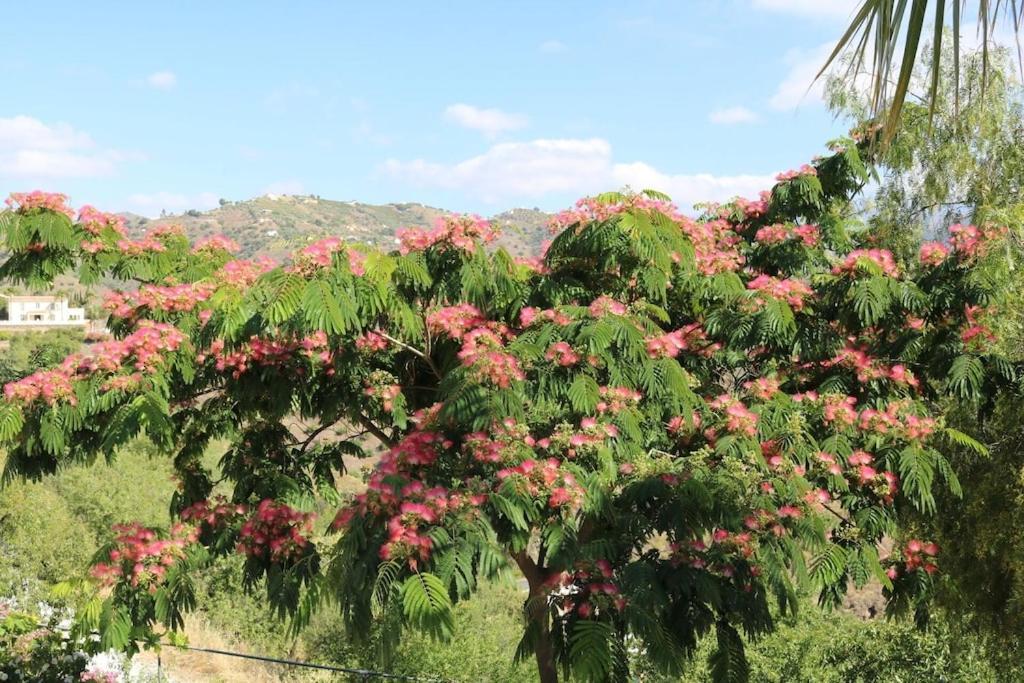 Exceptional Costa Del Sol El Espuela For 8 Heated Pool Amazing Views & Quality Villa *