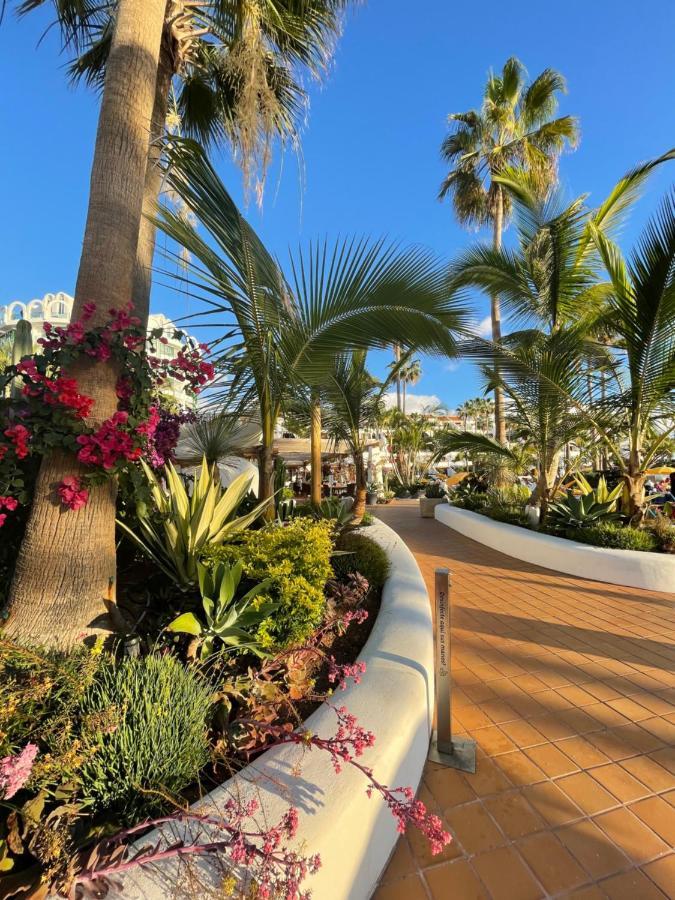 Americas 4 * Arona (Tenerife)