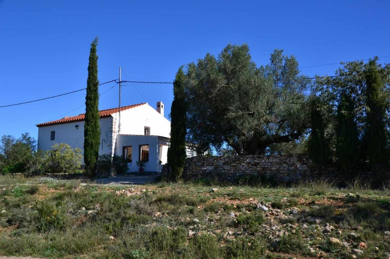 Mas Halcon Holiday home