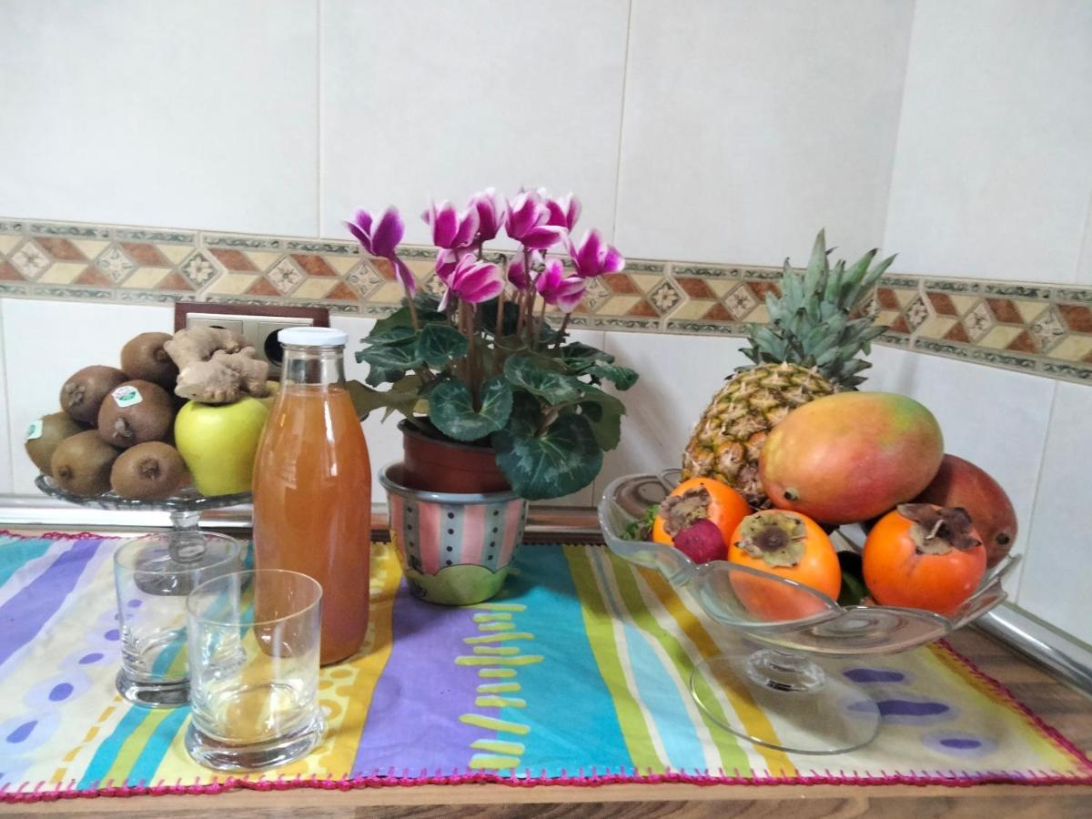 Agroturismo Maitia *