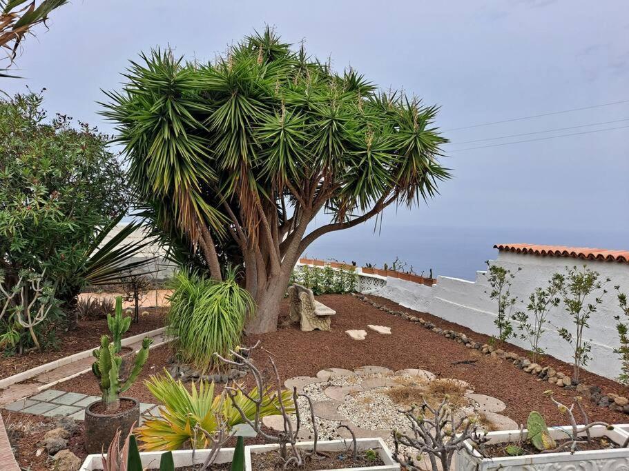 Apartment Tenerife Dulcynea With Terrace And Garden 600m2 With Ocean And Teide View *
