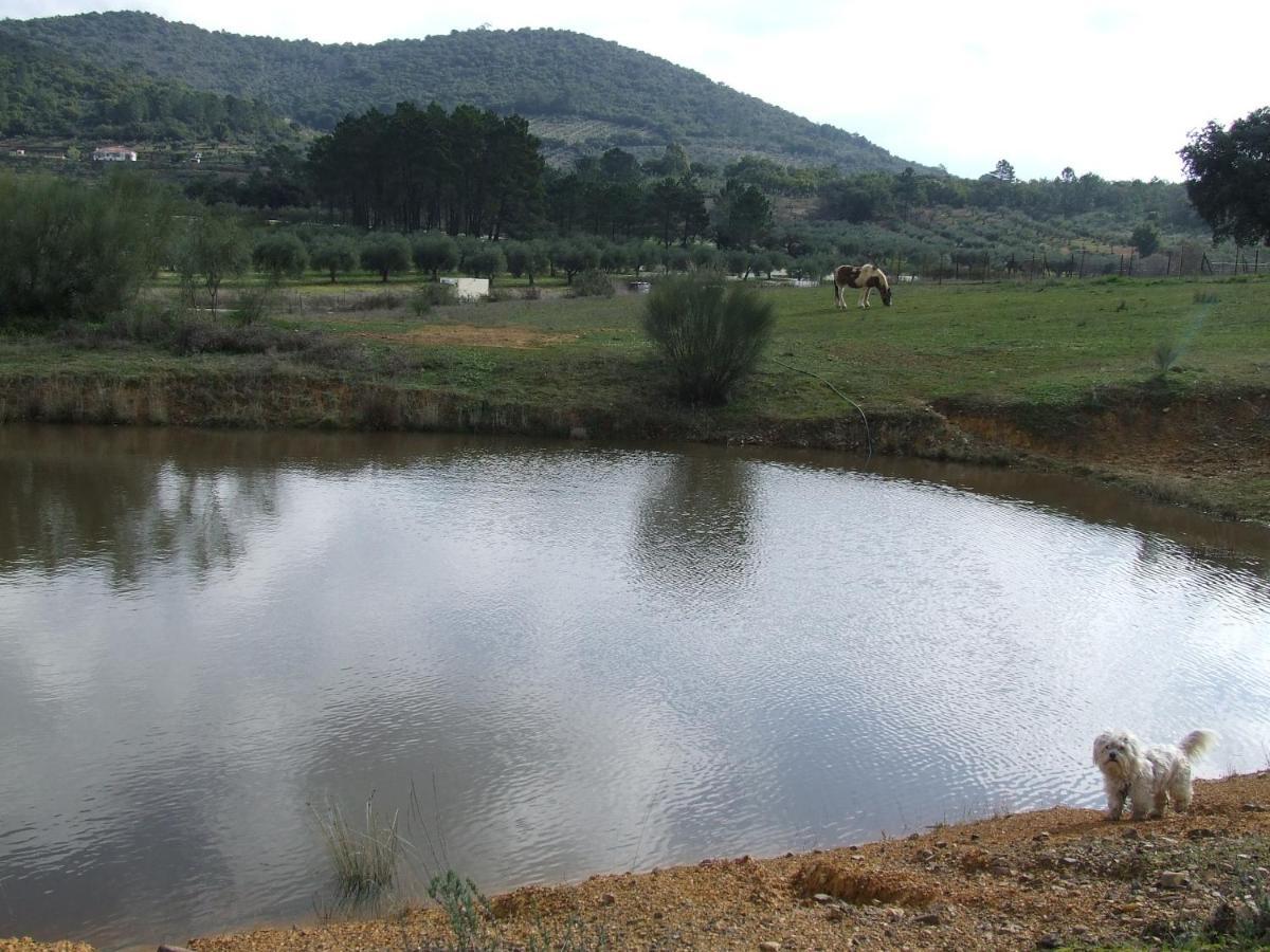 Casa rural La Tierra *