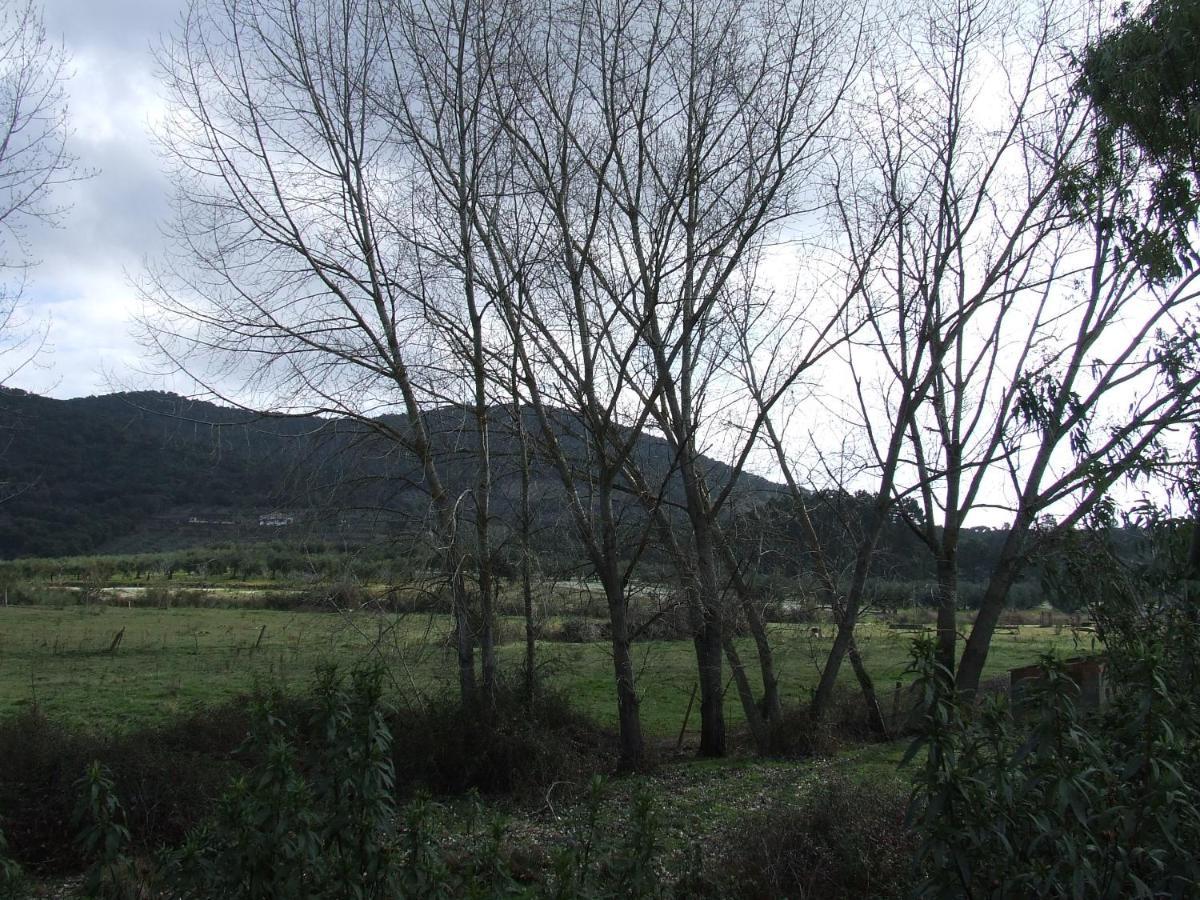 La Tierra Casa rural *