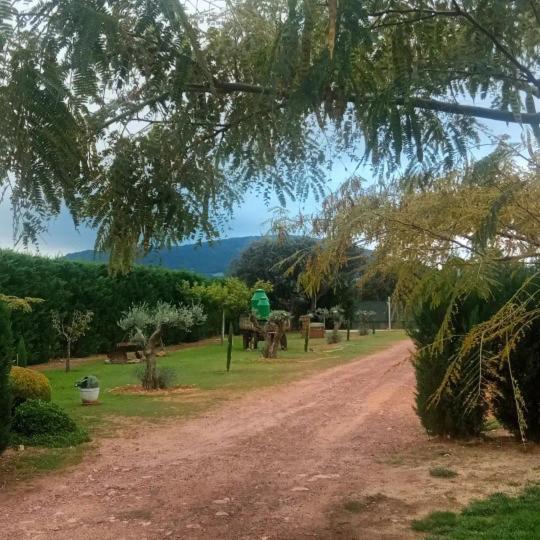 Pajaros Casa rural