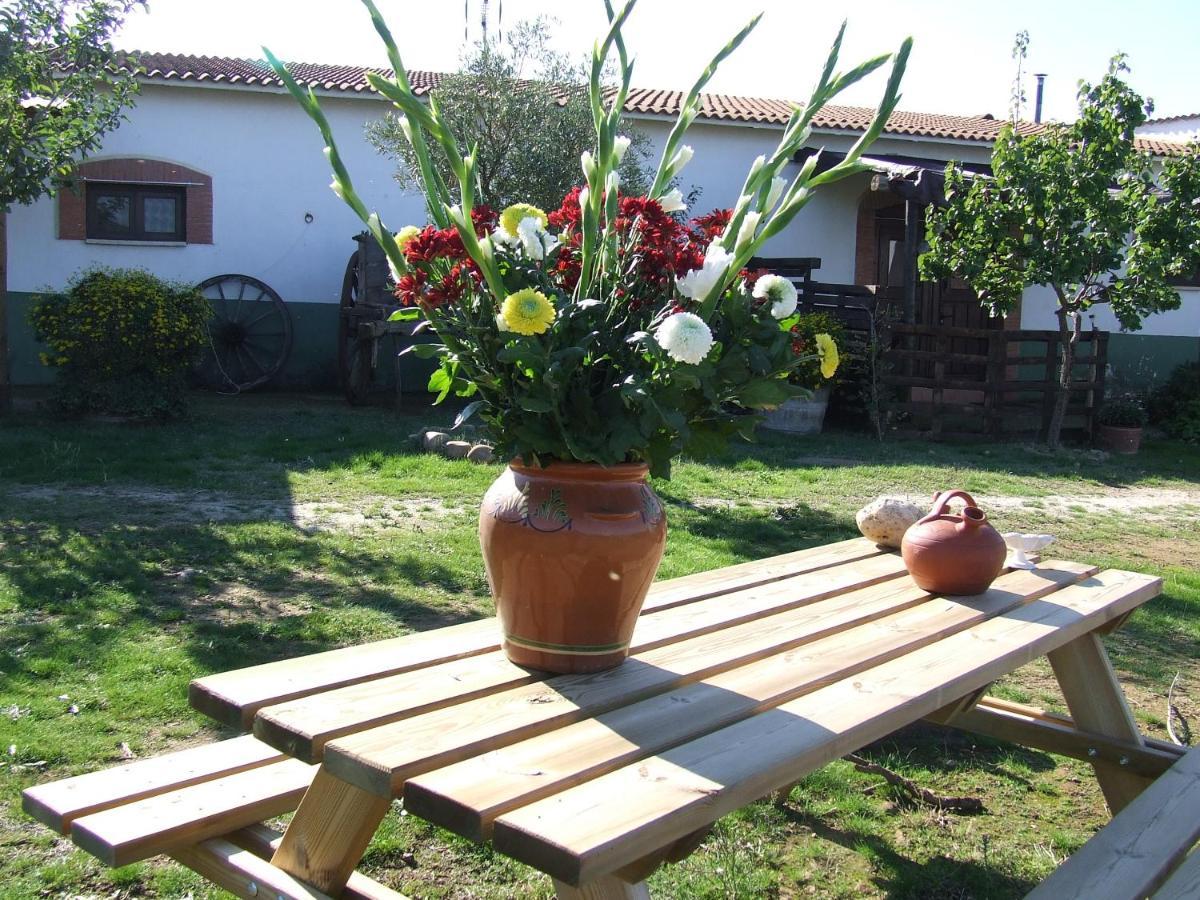 Casa rural La Tierra *