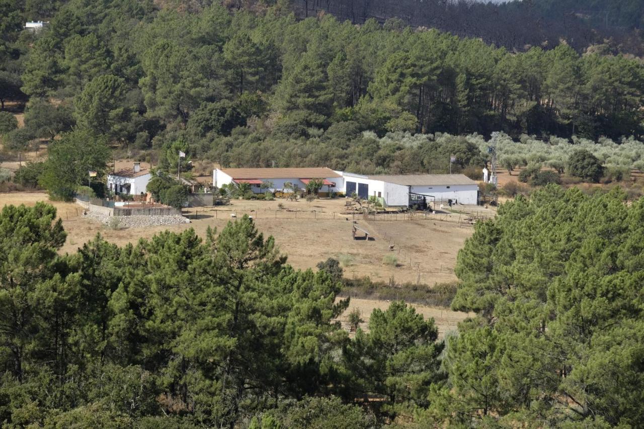 La Tierra Alcuéscar