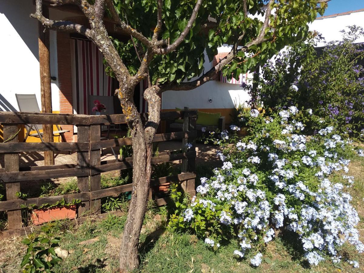 La Tierra Verde Studio