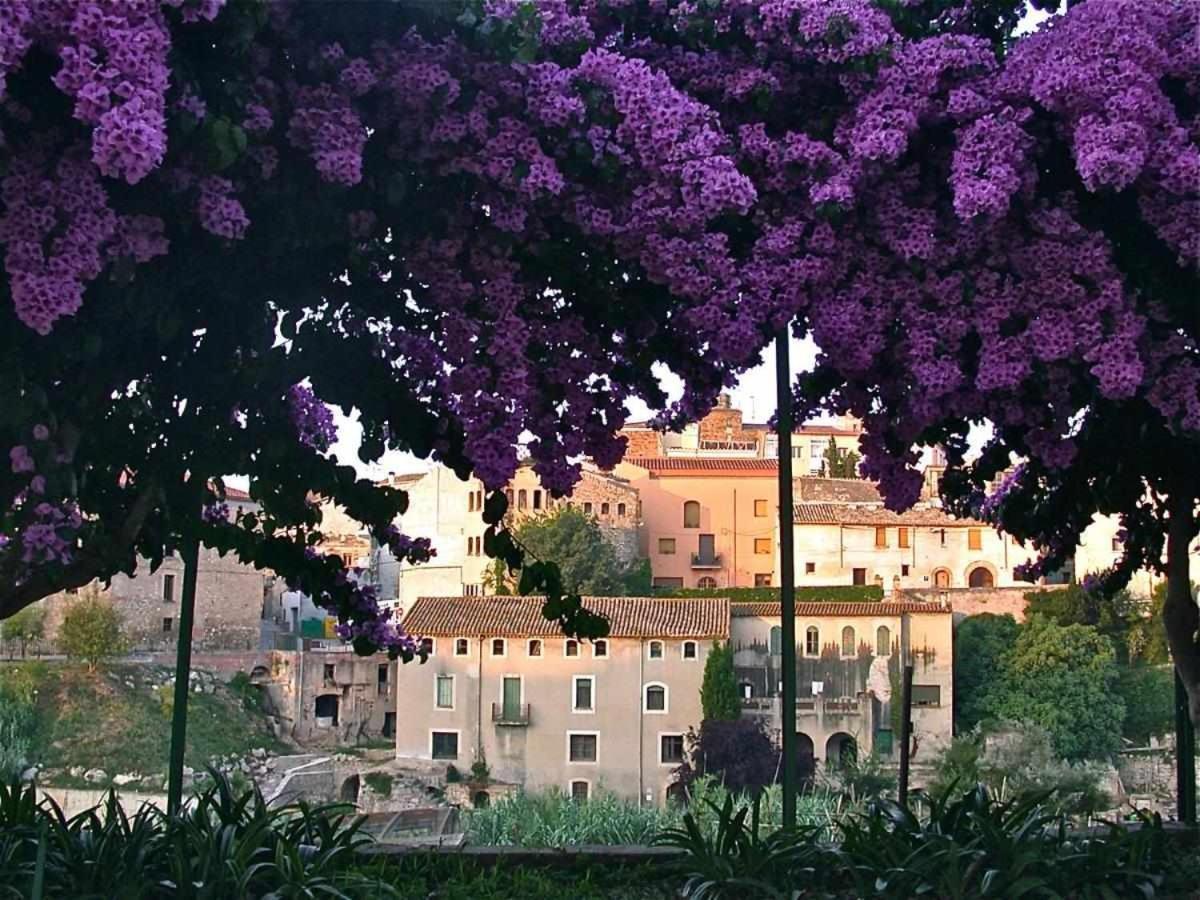 Hotel Rural Hd Riudebitlles Art I Sant Pere de Riudebitlles