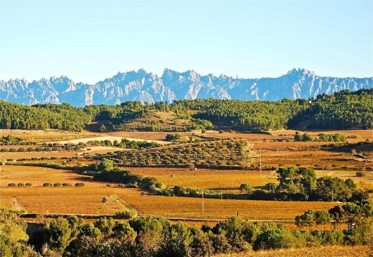 Rural Hd Riudebitlles Art I 3* Sant Pere de Riudebitlles