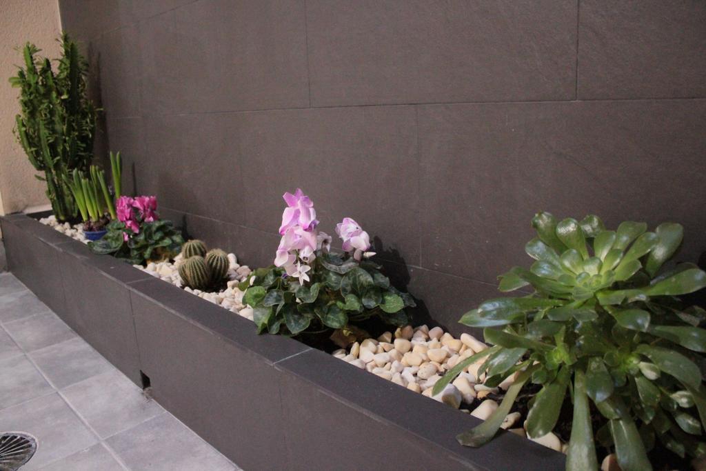 Guest house Pensimar