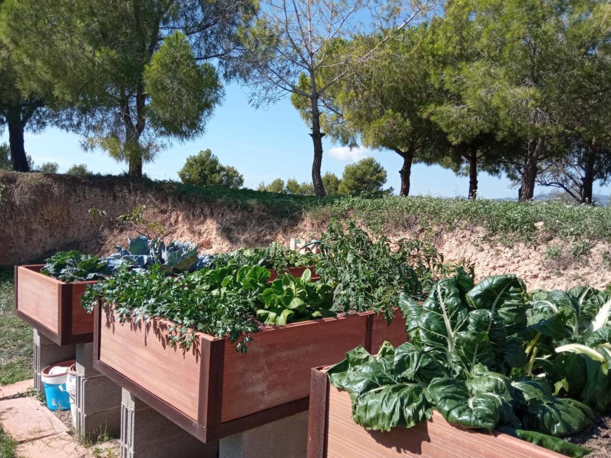 Romegosa Benestar Сasa de vacaciones Sant Marcal
