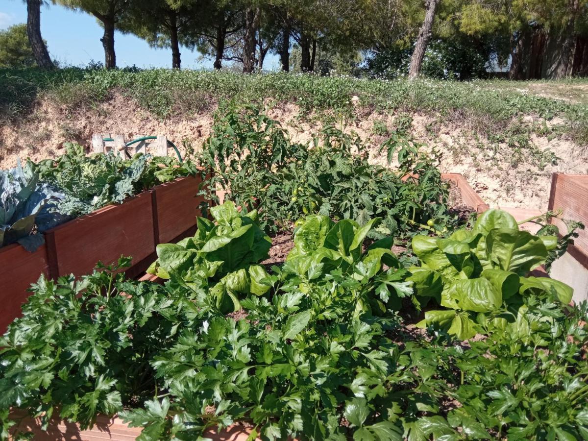 Romegosa Benestar Sant Marcal