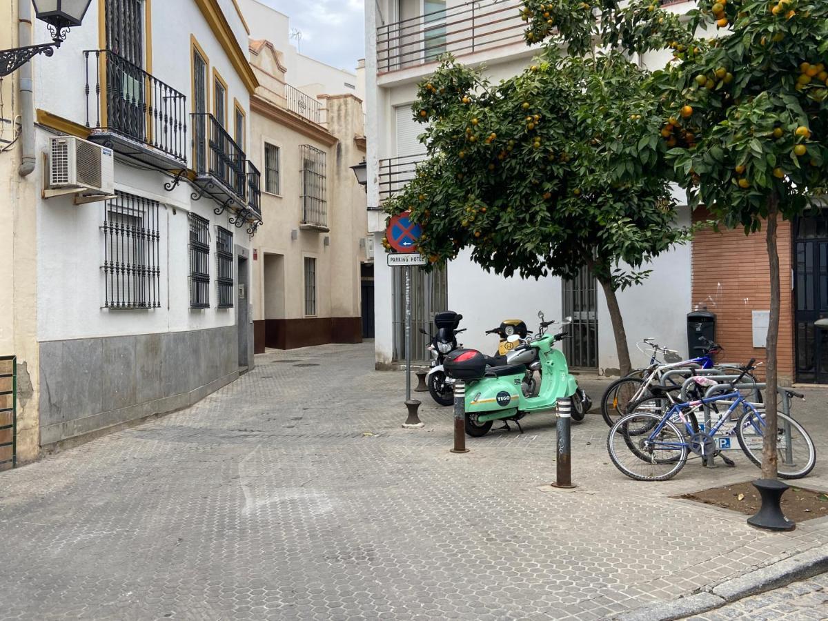 Aloja - Calle Pozo *
