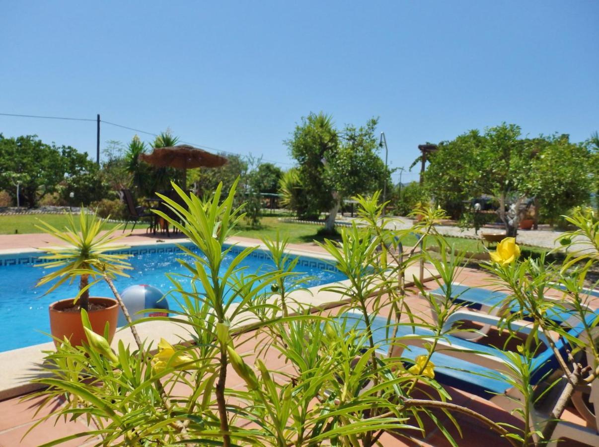 Escuela La Crujia Bed & Breakfast Velez Malaga