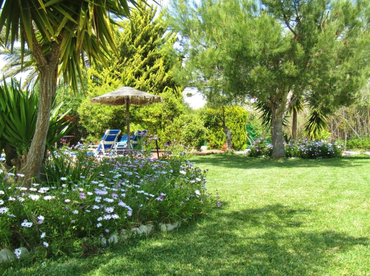 Escuela La Crujia Bed & Breakfast Velez Malaga
