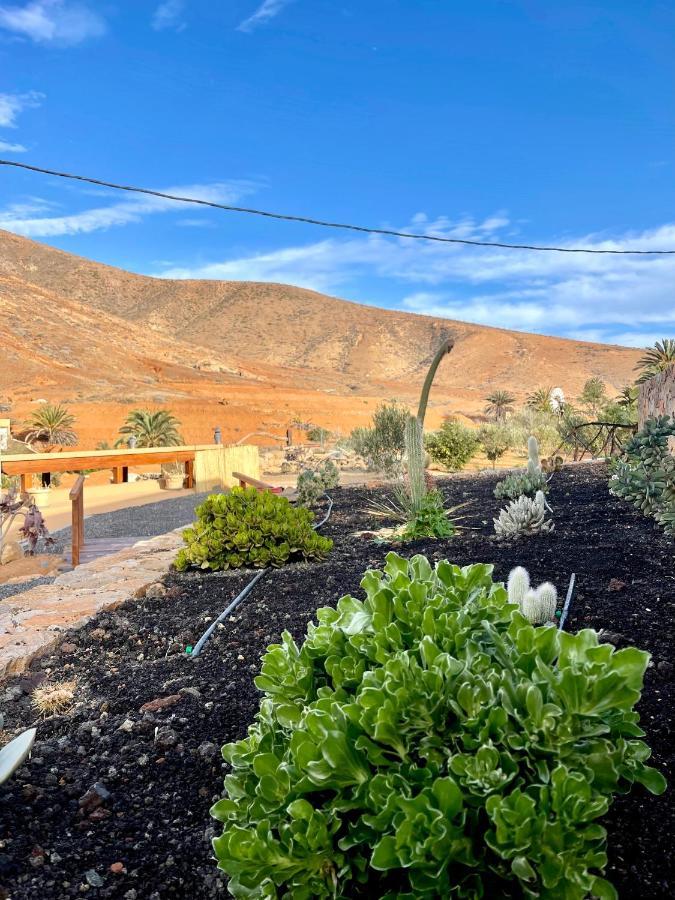 La Casita Del Mojino Betancuria