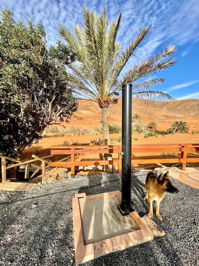Apartamento La Casita Del Mojino Betancuria
