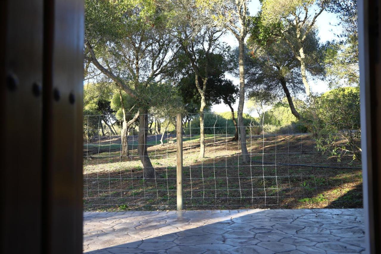 Country house La Quinta De Maria Luisa Zahora