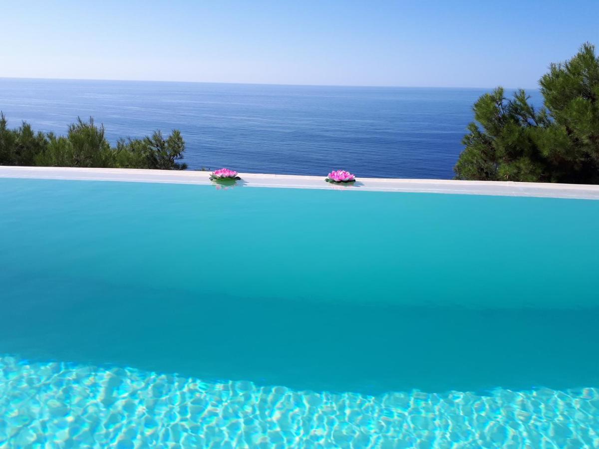 Luxury Paradise Villa *