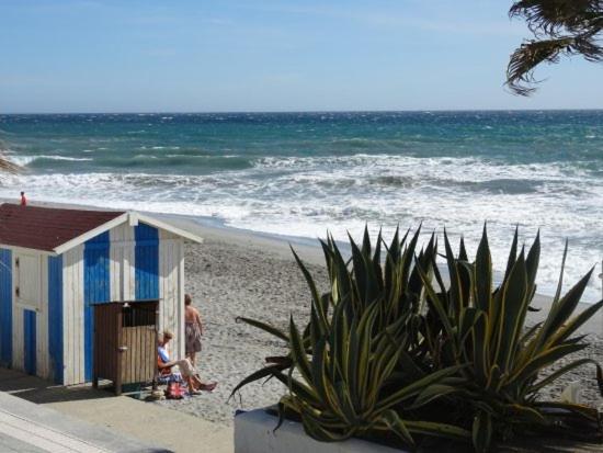 1 Bedroom Beachfront At Torecilla Apartment