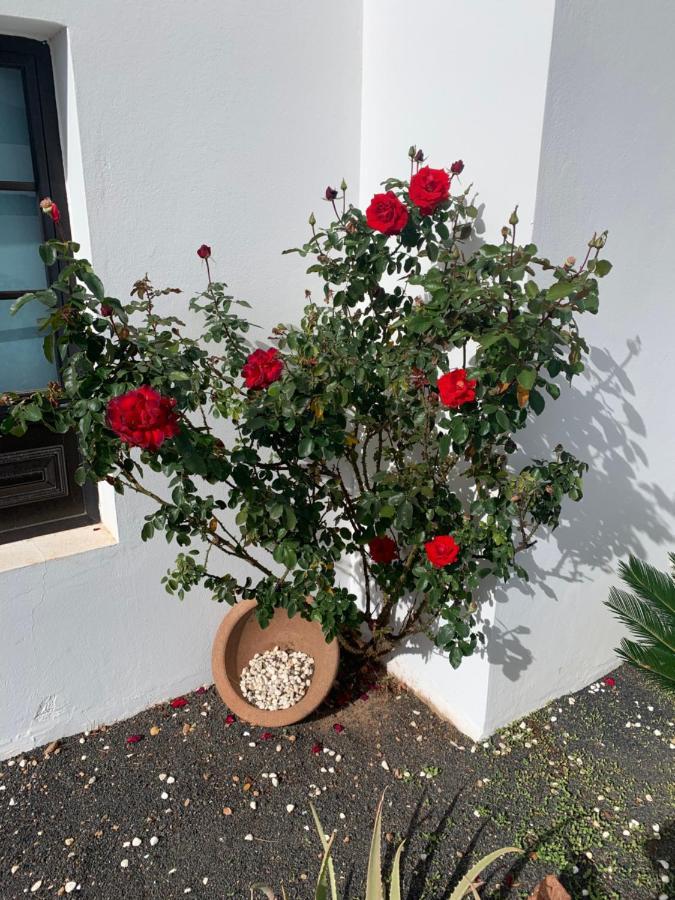 Holiday home Sandra Playa Blanca (Lanzarote)