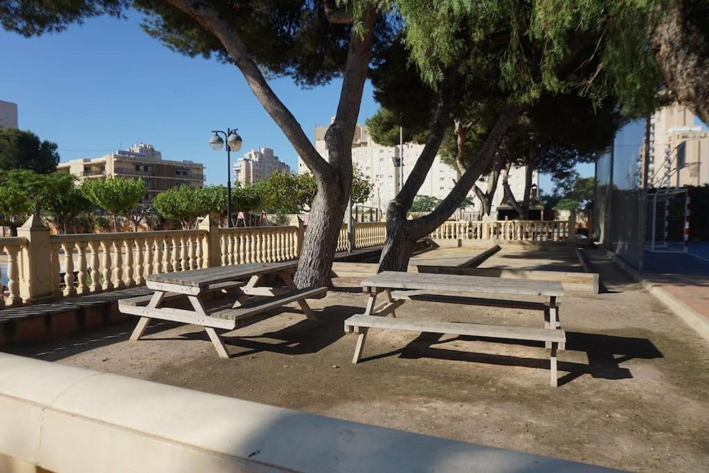 Ceveral Apartament Playa Muchavista Lanzas El Campello