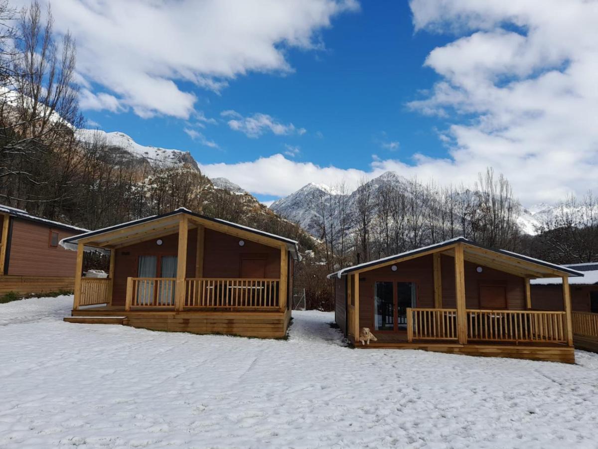 Campsite Panticosa Lodge