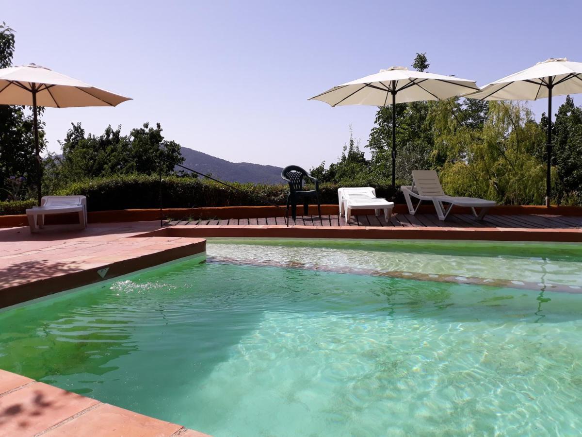 La Oveja De La Alpujarra Bed & Breakfast