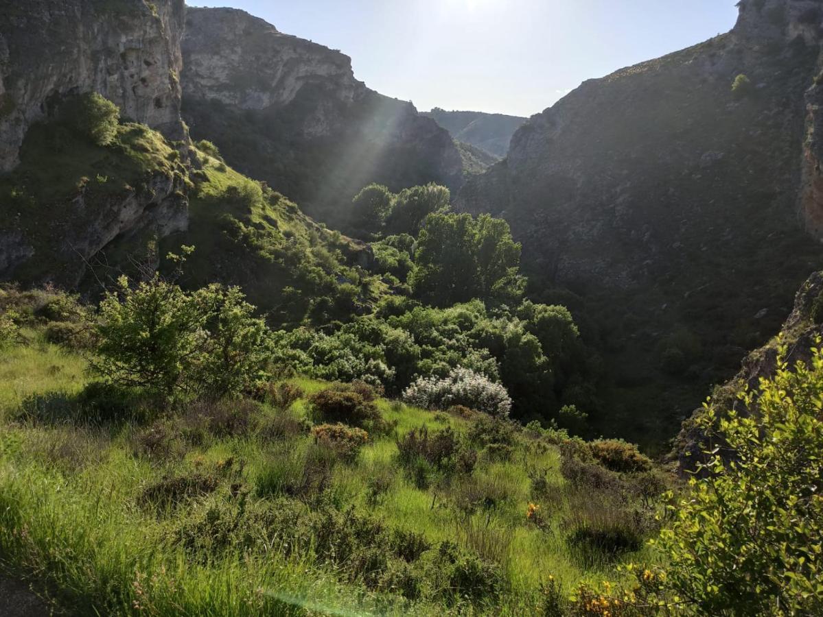 La Granaína * Siguenza