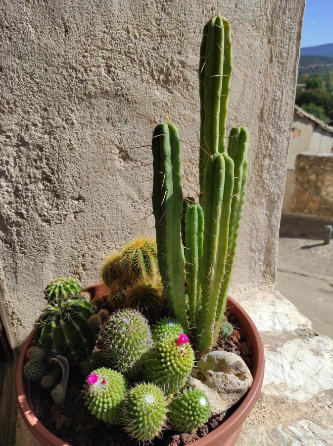 El Botánico Casa rural Duron