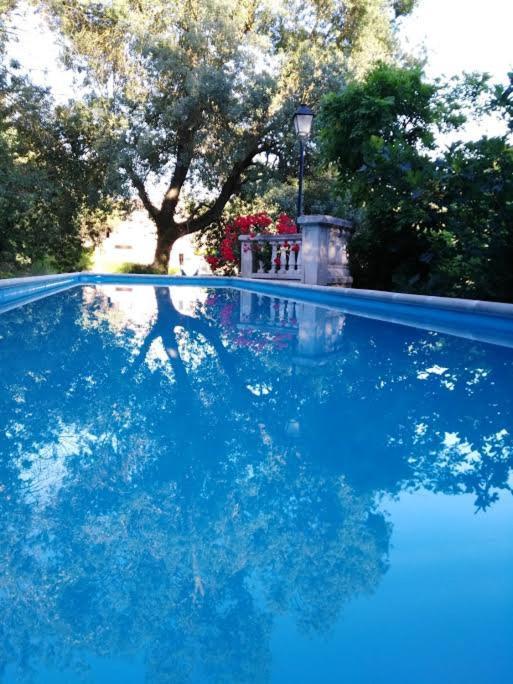 Moli Del Salt Apartment *
