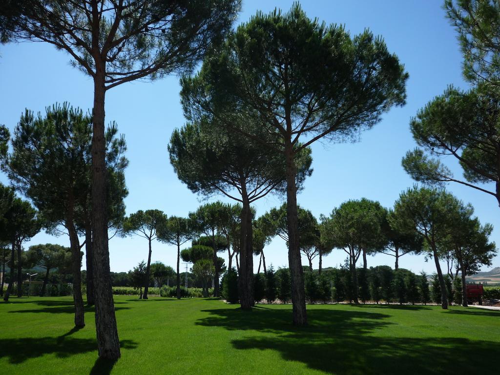 & Arzuaga (adults Only) 5*