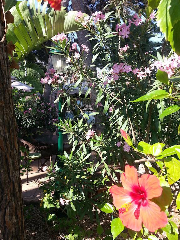Boutique Mr Palau Verd - Adults Only Hotel