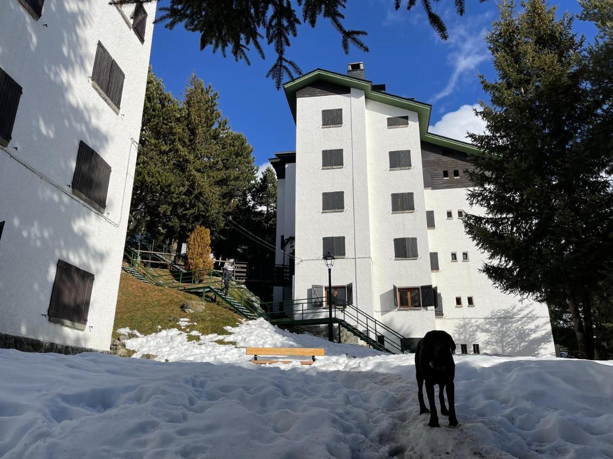 Apartamento Izas · Pirineos360 · Práctico Y Sencillo · Perfecto Esquiadores