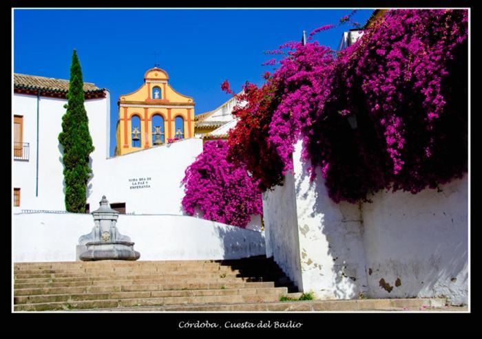 Centro Historico Cristo De Faroles La Preferida Cordoba