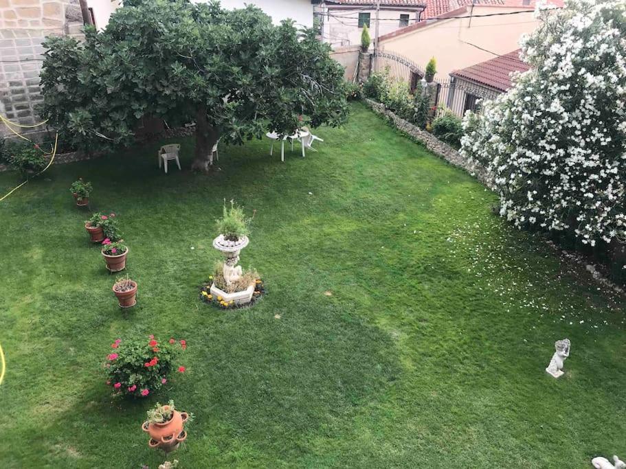 Apartamento Atico Riojano *