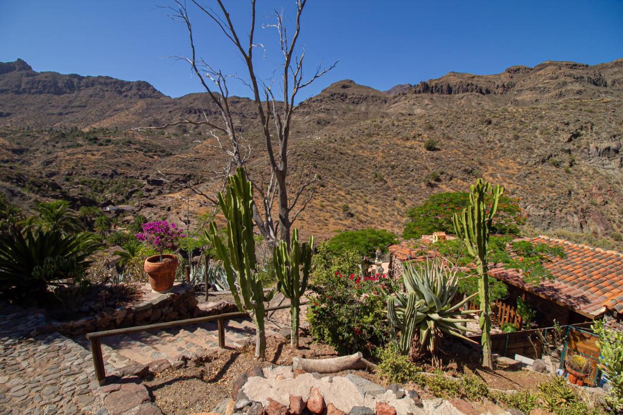 Casa El Lomito Bajo Holiday home *