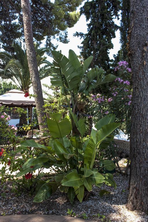Hotel Boutique Mr Palau Verd - Adults Only Denia